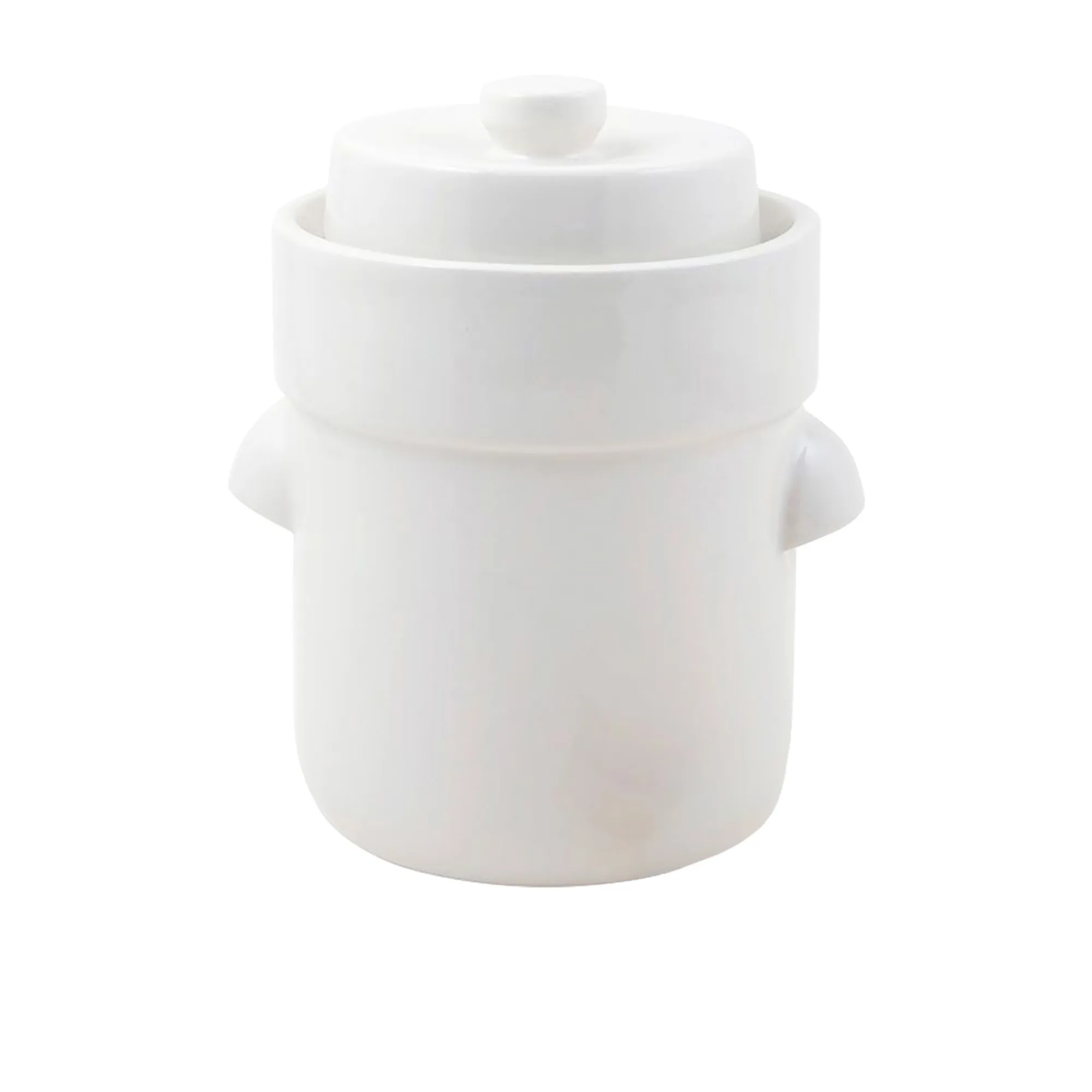 Davis & Waddell Fermentation Crock 5L White Image 1